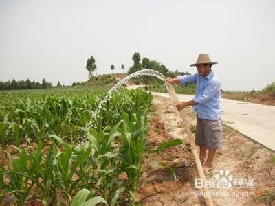 如何改良菜地土壤