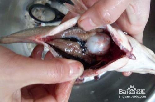 製作保存臘魚怎樣防止發黴變味