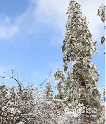 重慶到峨眉山_重慶到峨眉山旅遊線路