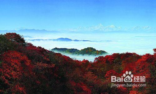 峨眉山旅遊最佳時間