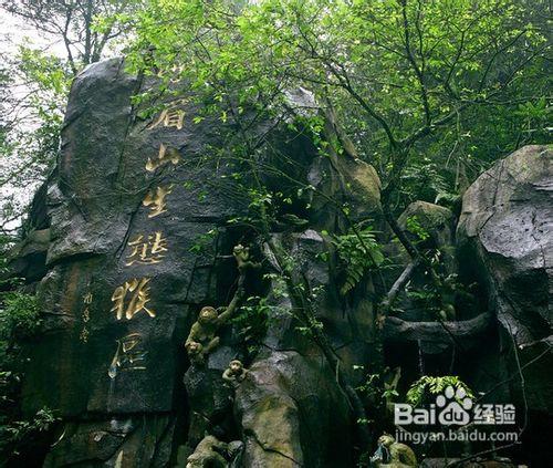 重慶到峨眉山_重慶到峨眉山旅遊線路