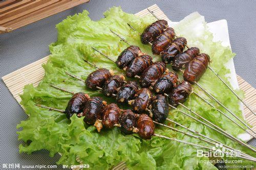 男人補腎養腎壯陽的蠶蛹蒸胡桃肉