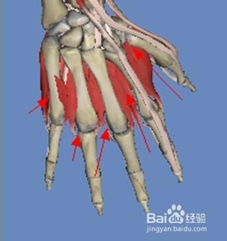 如何有效解決手指攀巖受傷的辦法