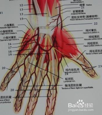 如何有效解決手指攀巖受傷的辦法