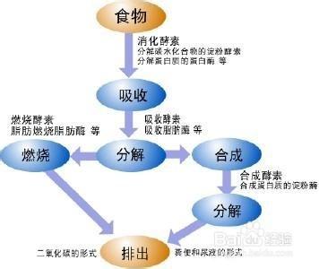 女孩怎樣做到看上去瘦瘦的。