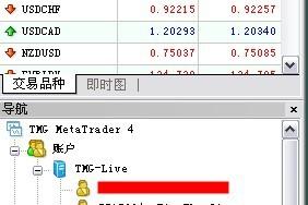 掌握好入門知識黃金外匯投資交易一帆風順