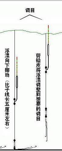 釣魚調漂技巧——調四調二