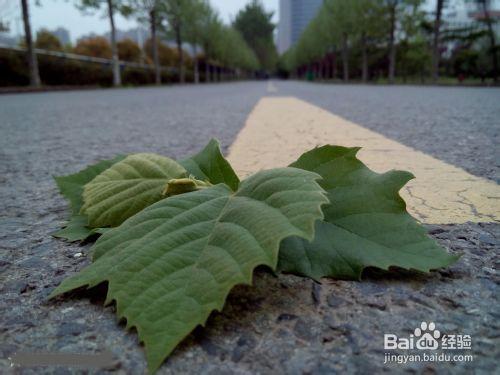 安徽工程大學怎麼樣