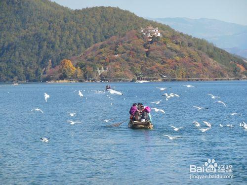 驢友圈帶您走進大山深處的母系王國——瀘沽湖