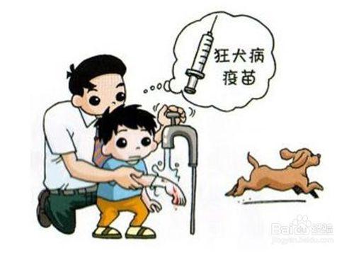 被貓狗之類的小動物咬傷怎麼辦？？