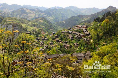 重慶、遵義地區朋友到貴州鎮遠旅遊攻略