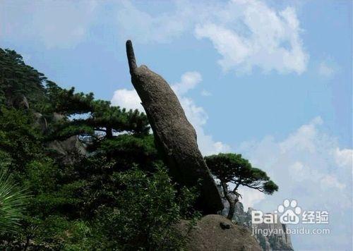 黃山在哪個省?黃山四絕是什麼？黃山奇石