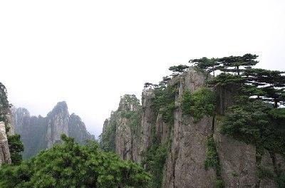 菜鳥旅遊之黃山遊要訣