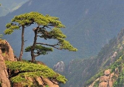 菜鳥旅遊之黃山遊要訣