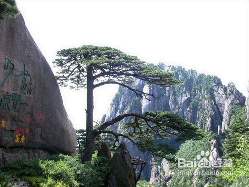 黃山在哪個省?黃山四絕是什麼？黃山奇石