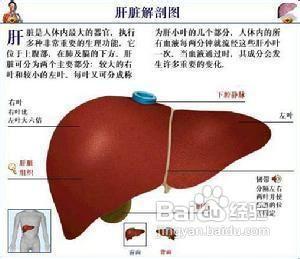 肝鬱怎麼治療