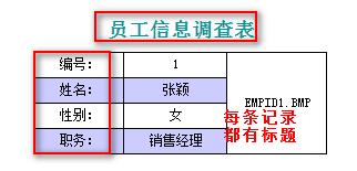 數據分析軟件FineReport教程：[25]報表分欄