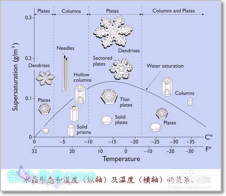 水能感受到祝福和厭惡嗎？——流言論證