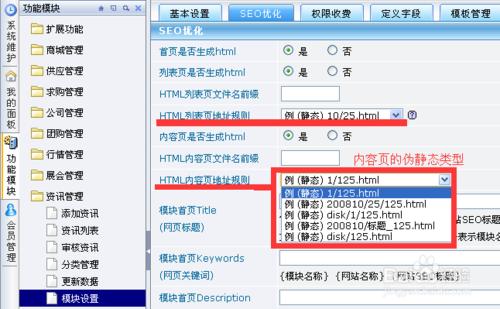 DESTOON關於IIS7服務器偽靜態的設置