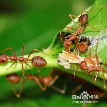 怎麼變成一個有品味的人？