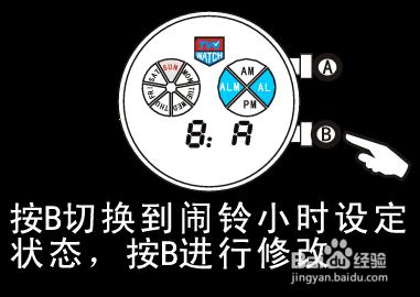 TVG手錶海豹精英使用說明