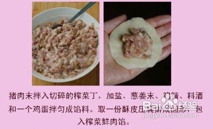 中秋月餅完結篇－－最經典的榨菜鮮肉月餅