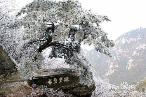 廬山旅遊景區怎麼樣