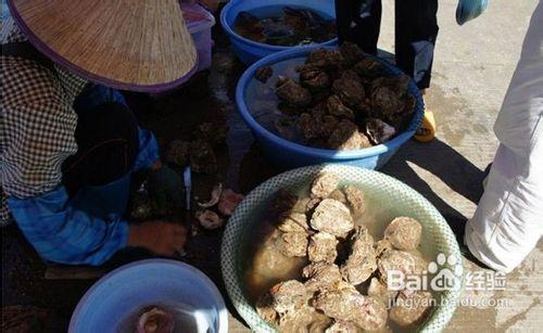 [食行天下]北海潿洲島美食