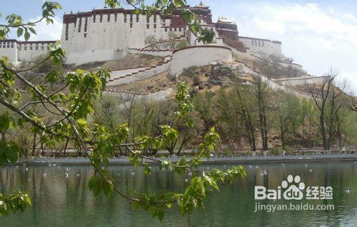 西藏布達拉宮景點攻略