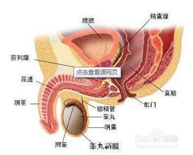 怎麼樣才能使前列腺炎自愈且不復發？