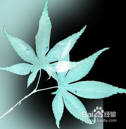 成熟男人要懂的幾點