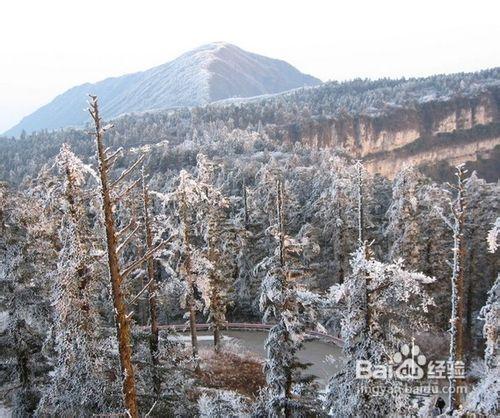 去峨眉山旅遊要多少錢_峨眉山旅遊價格