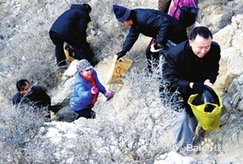 投喂野生鳥類的方法技巧和注意事項