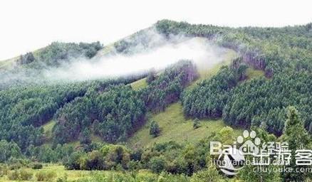 雙鴨山旅遊攻略