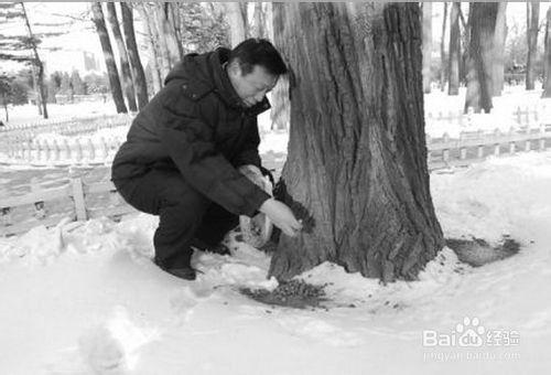 投喂野生鳥類的方法技巧和注意事項