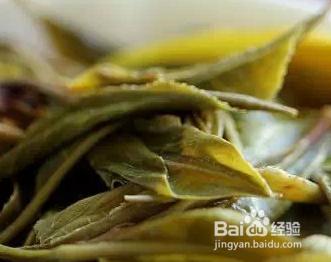 為什麼普洱茶在沖泡時水面會出現白沫?