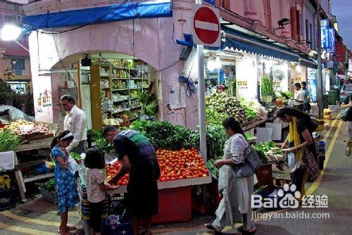 印度駱駝節—攝影之旅12天