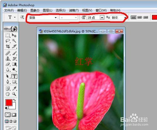 怎樣用Photoshop給圖片添加文字說明