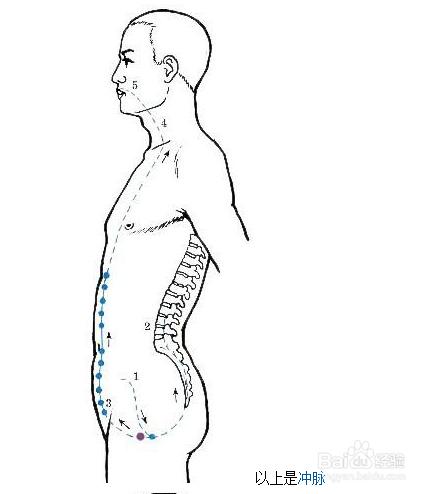 在十二經的基礎上十四經是如何定義的