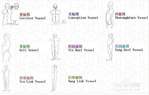 在十二經的基礎上十四經是如何定義的