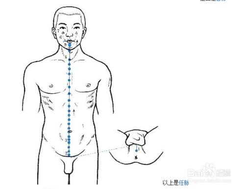 在十二經的基礎上十四經是如何定義的