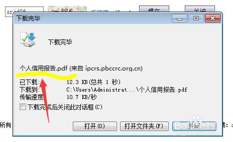 個人信用報告記錄、個人信譽、銀行信譽網上查詢