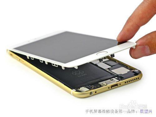 iphone6 拆機最全高清圖文教程