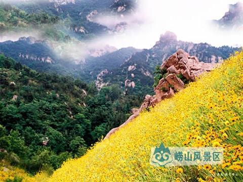 夏天去哪裡旅遊山東旅遊重磅推薦！