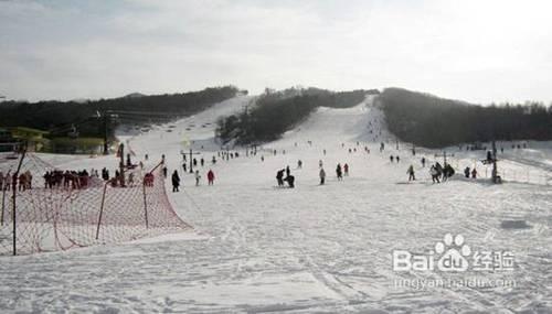 瀋陽東北亞滑雪場滑雪攻略—旅程天下