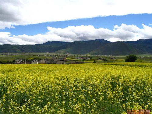 四川旅遊線路有哪些？