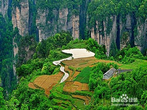 暑假張家界旅遊攻略