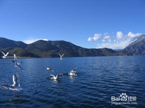 瀘沽湖旅遊攻略門票和路線