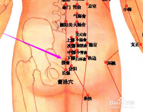 腰俞穴位位置圖和作用