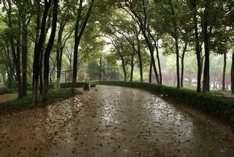 下雨了，我該幹什麼